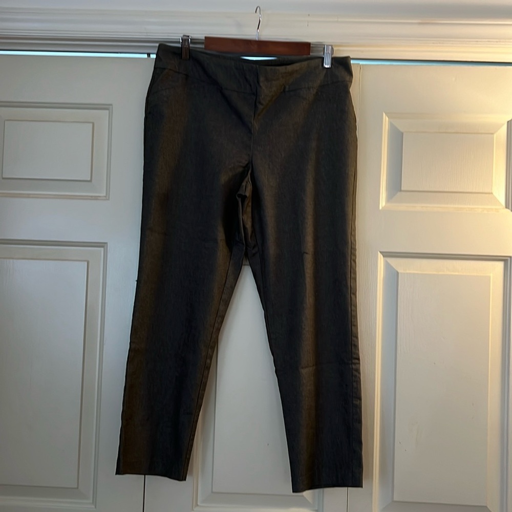 Southern Lady greenish brown stretch slide on pants flat front straight leg